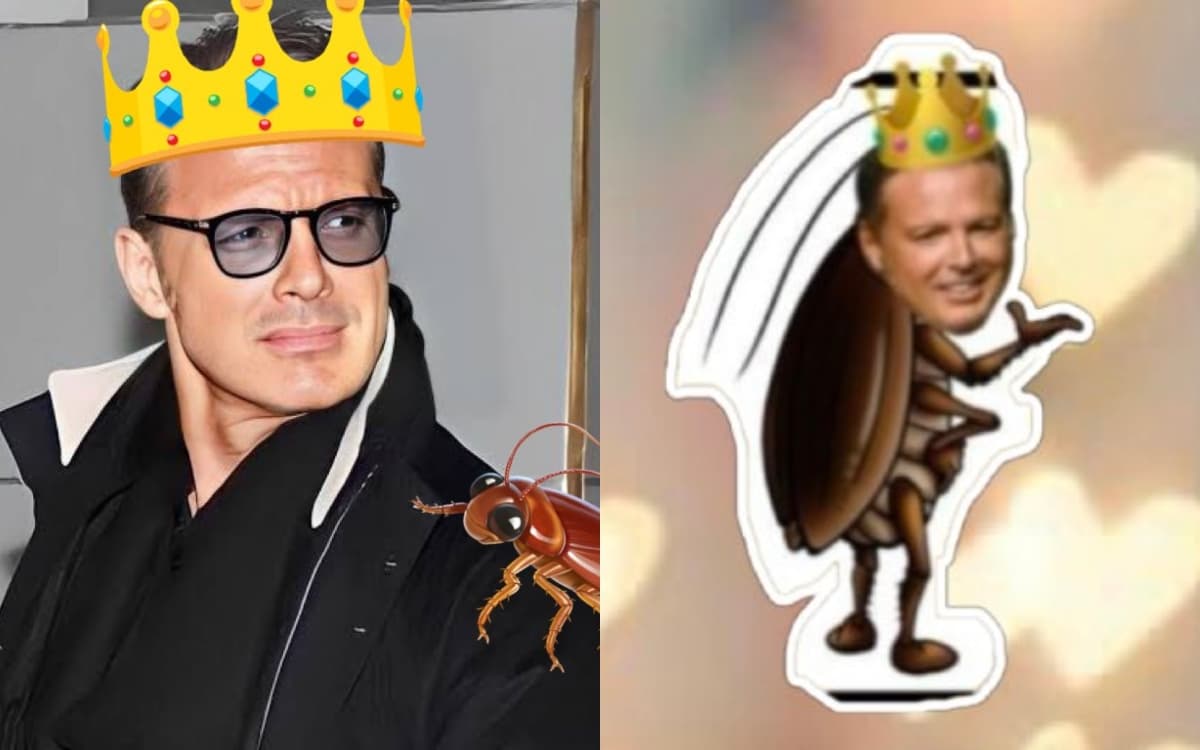 Nombraron a Luis Miguel “Rey Cucaracho” y se desataron los memes
